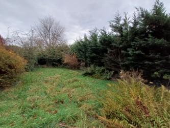 Maison - 600 m² - 5 pièces