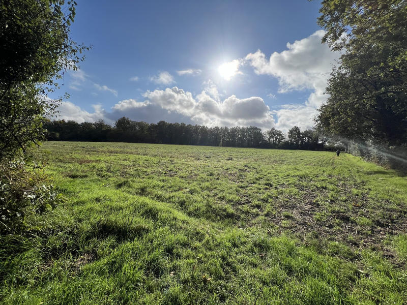 Maison - 165 m² - 9 pièces