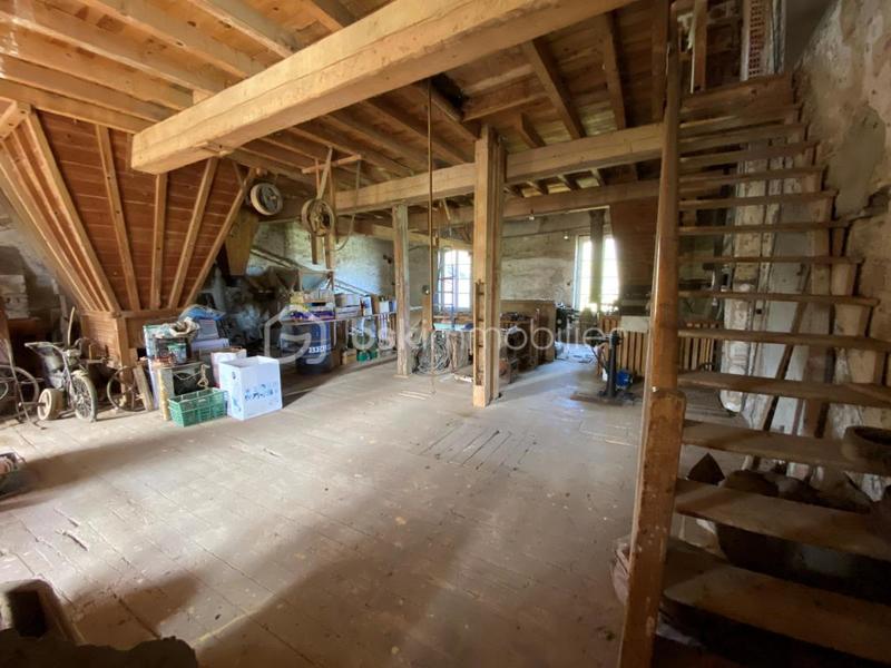 Moulin - 240 m² - 8 pièces