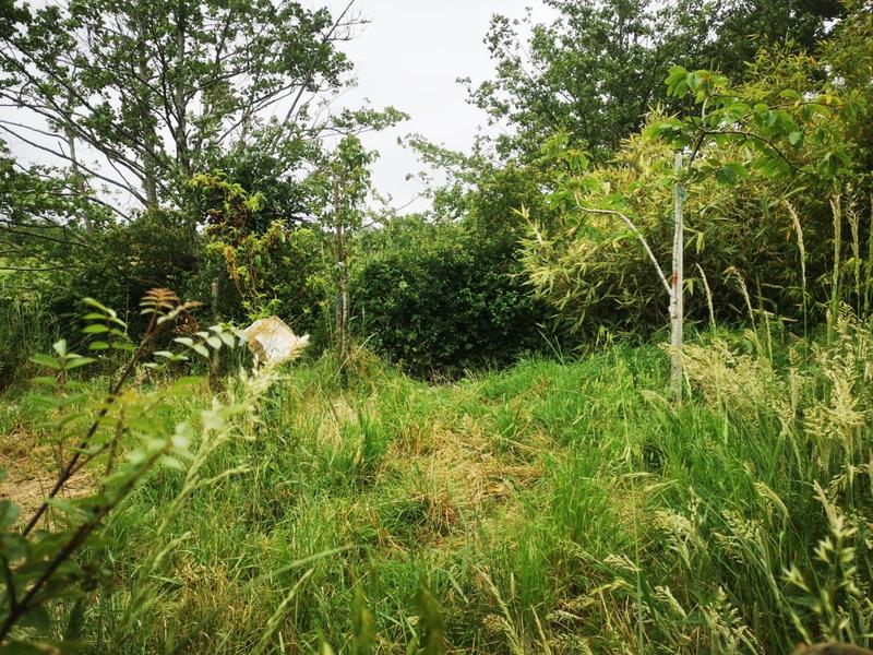 Terrain de loisirs - 9 295 m²