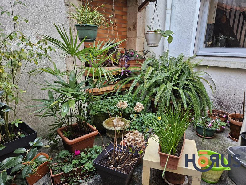 Viager - Maison - 108 m² - 4 pièces