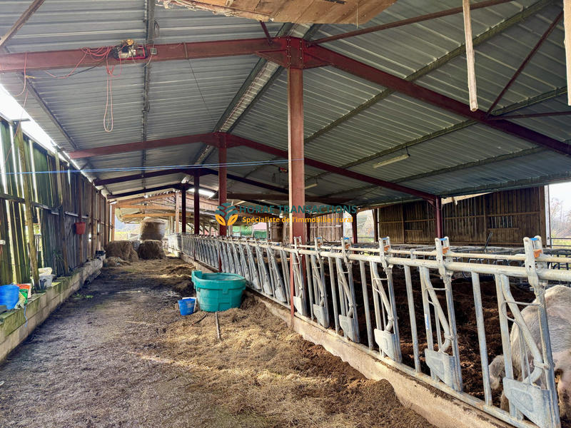 Ferme - 600 m² - 1 pièce