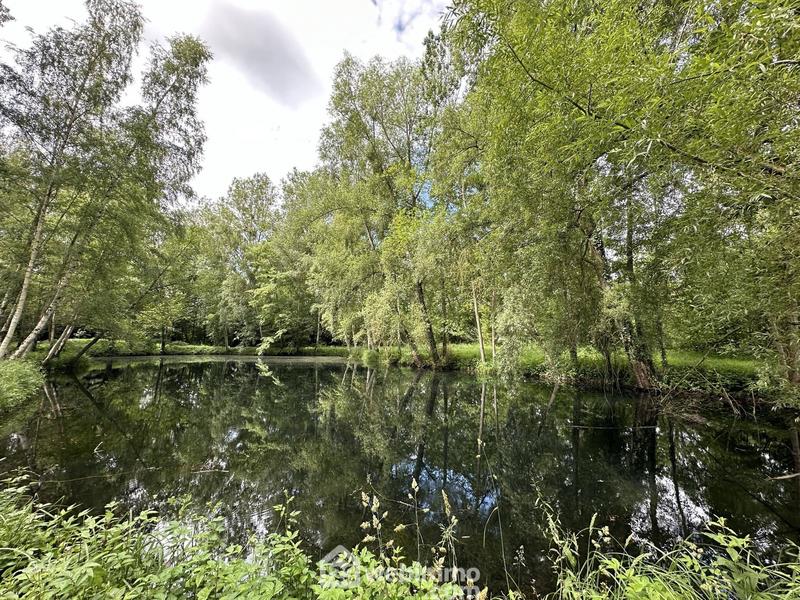 Terrain - 11 300 m²