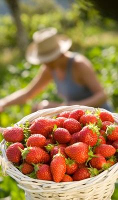 La Ferme Biologique du Grand Bois