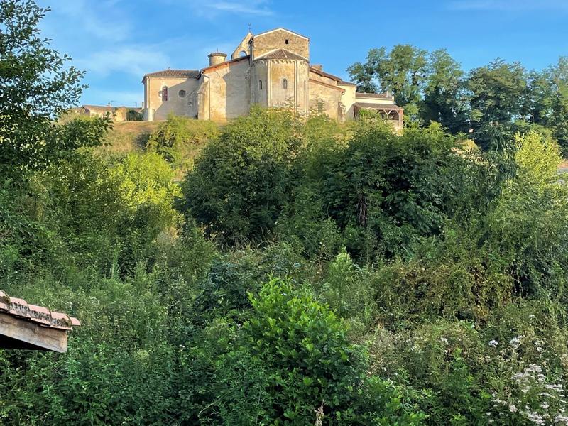 Découverte des zones humides