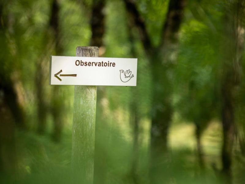Semaine de la Biodiversité - Visite guidée de Terres d'Oiseaux avec un bagueur professionnel Jean-Pierre Baudet