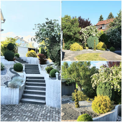 Maison - 230 m² - 8 pièces