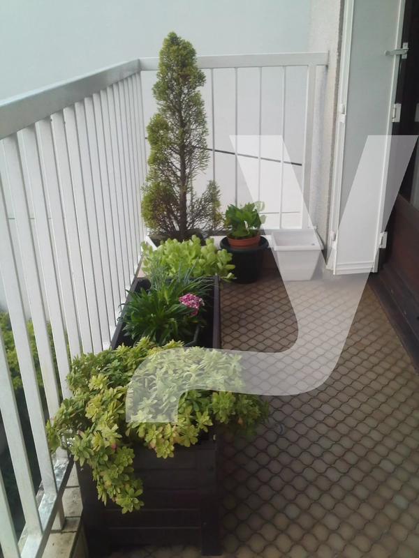 Appartement - 30 m² - 1 pièce