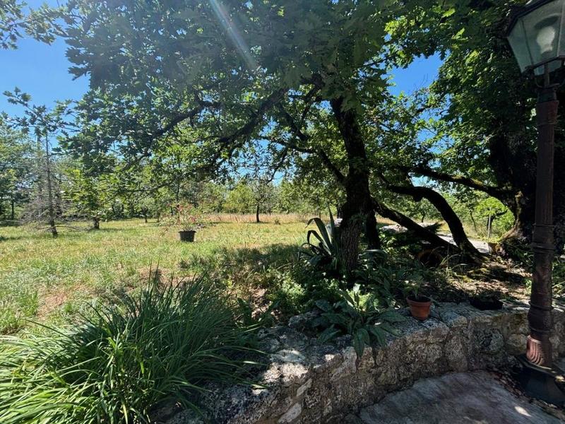 Propriété - 228 m² - 9 pièces