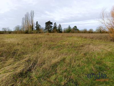 Terrain agricole - 6 248 m²
