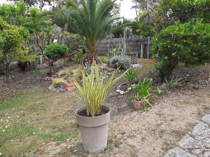 Maison - 60 m² - 4 pièces