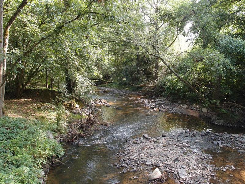 Moulin - 396 m² - 12 pièces