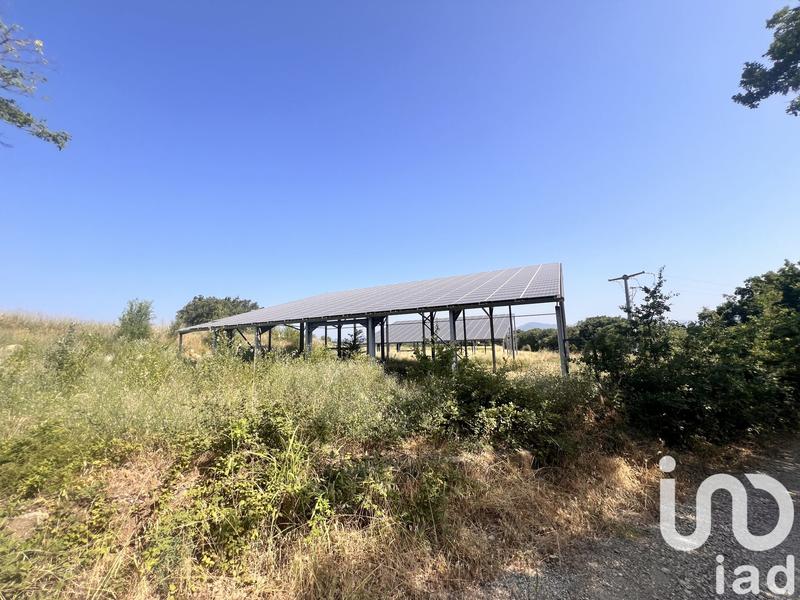 Terrain agricole - 13 006 m²