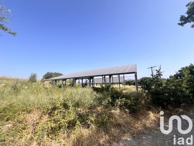 Terrain agricole - 13 006 m²