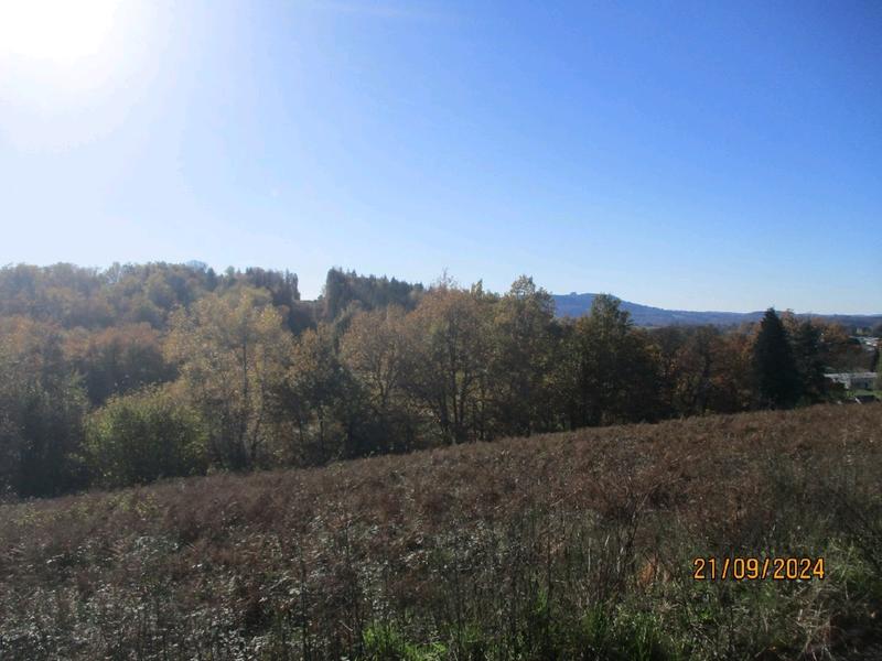 Terrain constructible - 4 856 m²