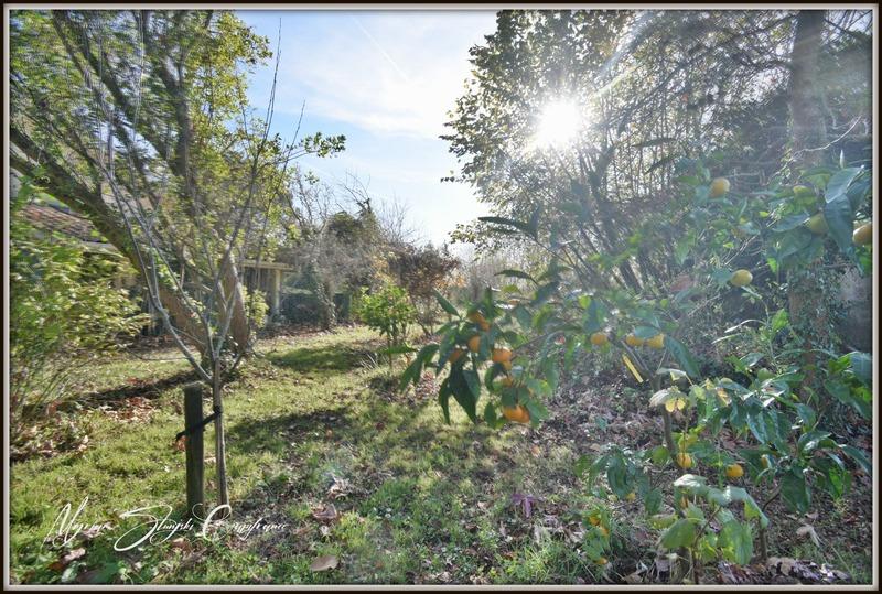 Maison - 225 m² - 5 pièces