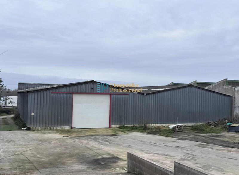 Entrepôt - 730 m²