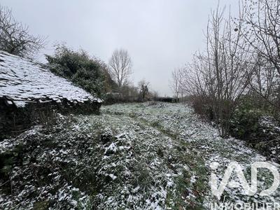 Maison - 250 m² - 3 pièces