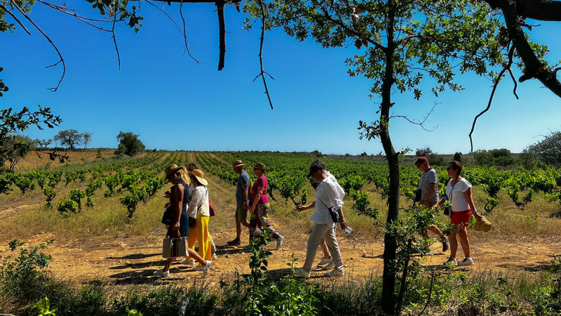 Bouteilles à la Mer