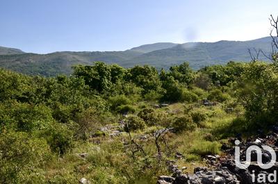 Terrain - 17 300 m²