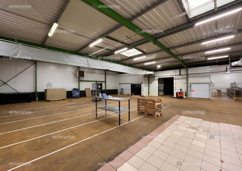 Local d'activité / Entrepôt - 2 000 m²