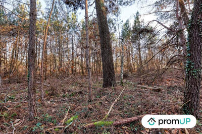 Terrain de loisirs - 1 595 m²