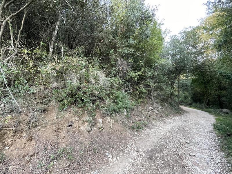 Terrain - 17 420 m²