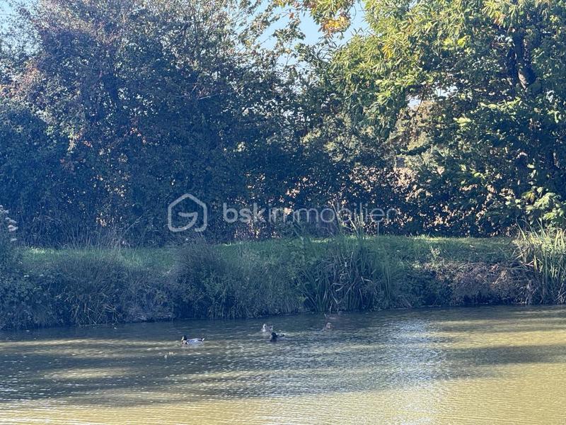 Terrain de loisirs - 7 023 m²