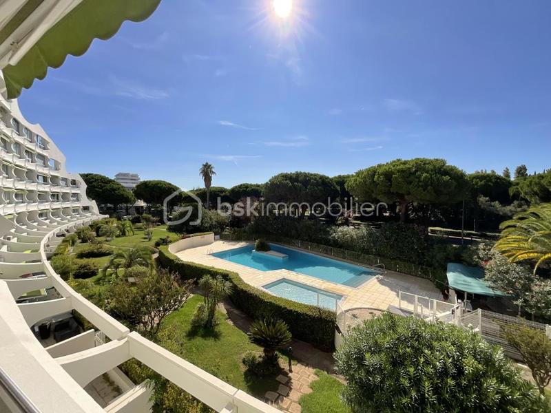 Studio - 24 m² - 1 pièce