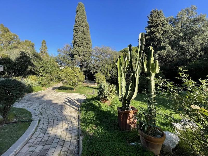 Studio - 29 m² - 1 pièce