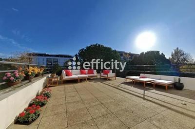 Appartement - 75 m² - 3 pièces