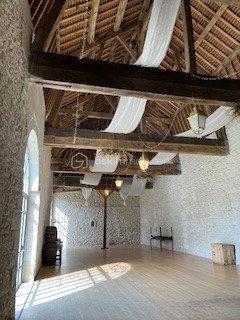 Château - 280 m² - 14 pièces