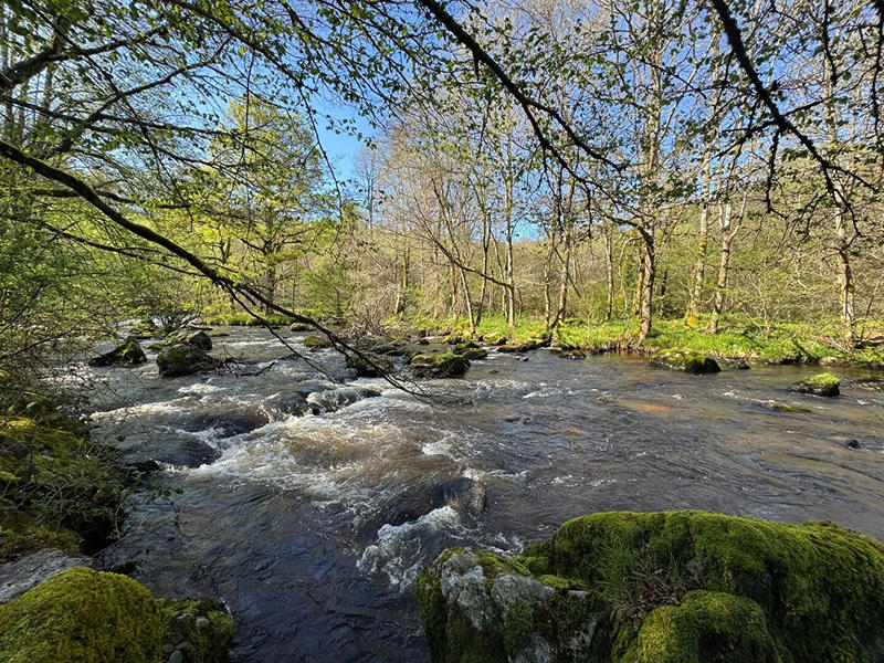Château - 614 m² - 21 pièces