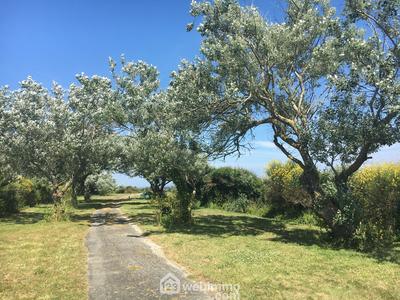 Maison - 100 m² - 30 pièces