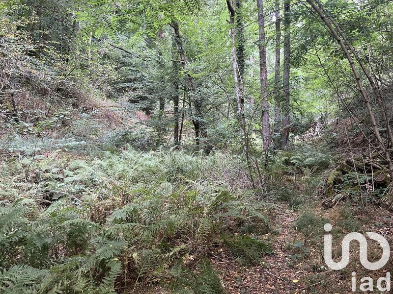 Maison de village - 140 m² - 1 pièce