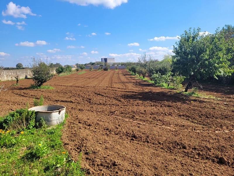 Terrain constructible - 3 000 m²