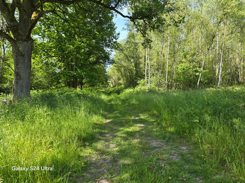 Terrain - 231 782 m²