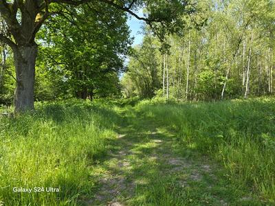 Terrain - 231 782 m²