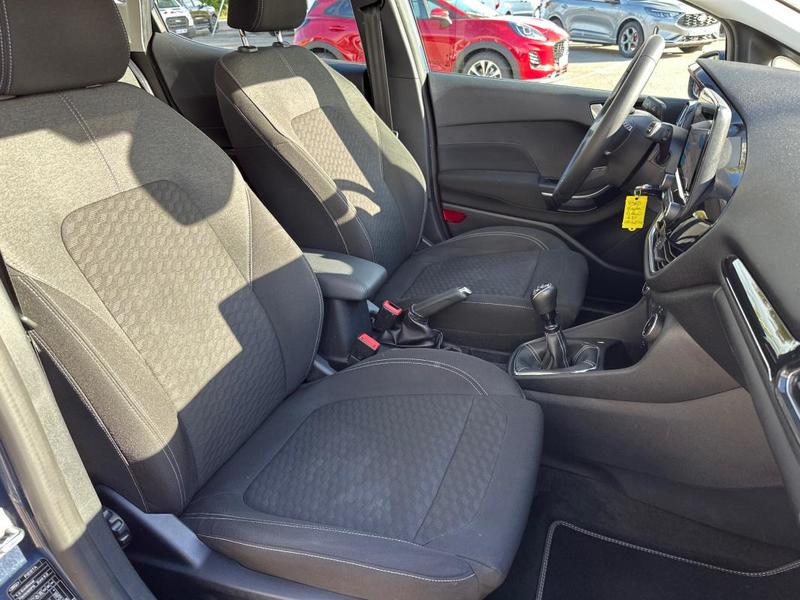 Ford Fiesta 1.0 Flexifuel 95 ch s&amp;S Bvm6 Titanium Business