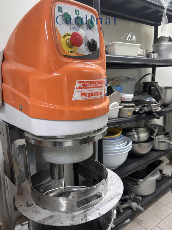 Fonds de commerce - Magasins - 305 m²