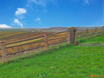 Maison - 301 m² - 10 pièces