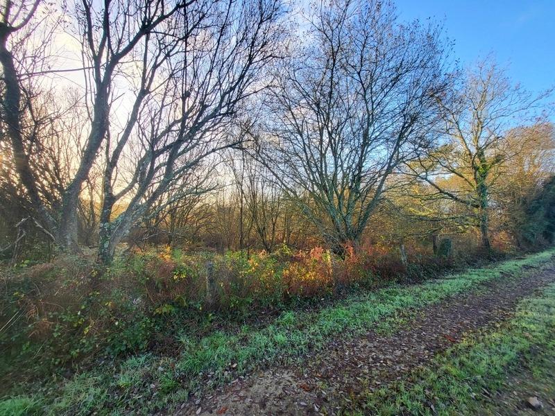 Terrain - 62 680 m²