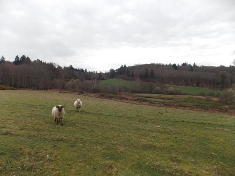 Corps de ferme - 110 m² - 5 pièces