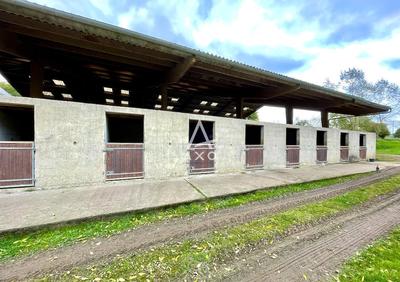 Haras - 180 m² - 8 pièces
