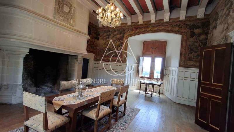 Château - 3 000 m² - 16 pièces