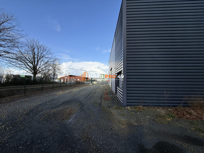 Local d'activités - 600 m² - 6 pièces