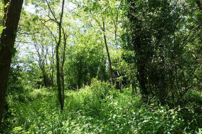 Maison - 330 m² - 8 pièces