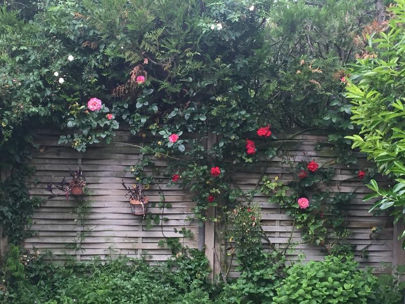 Maison de ville - 93 m² - 5 pièces