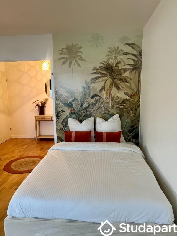 Appartement - 34 m² - 1 pièce