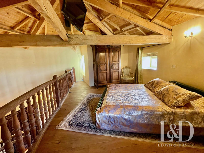 Château - 1 560 m² - 20 pièces